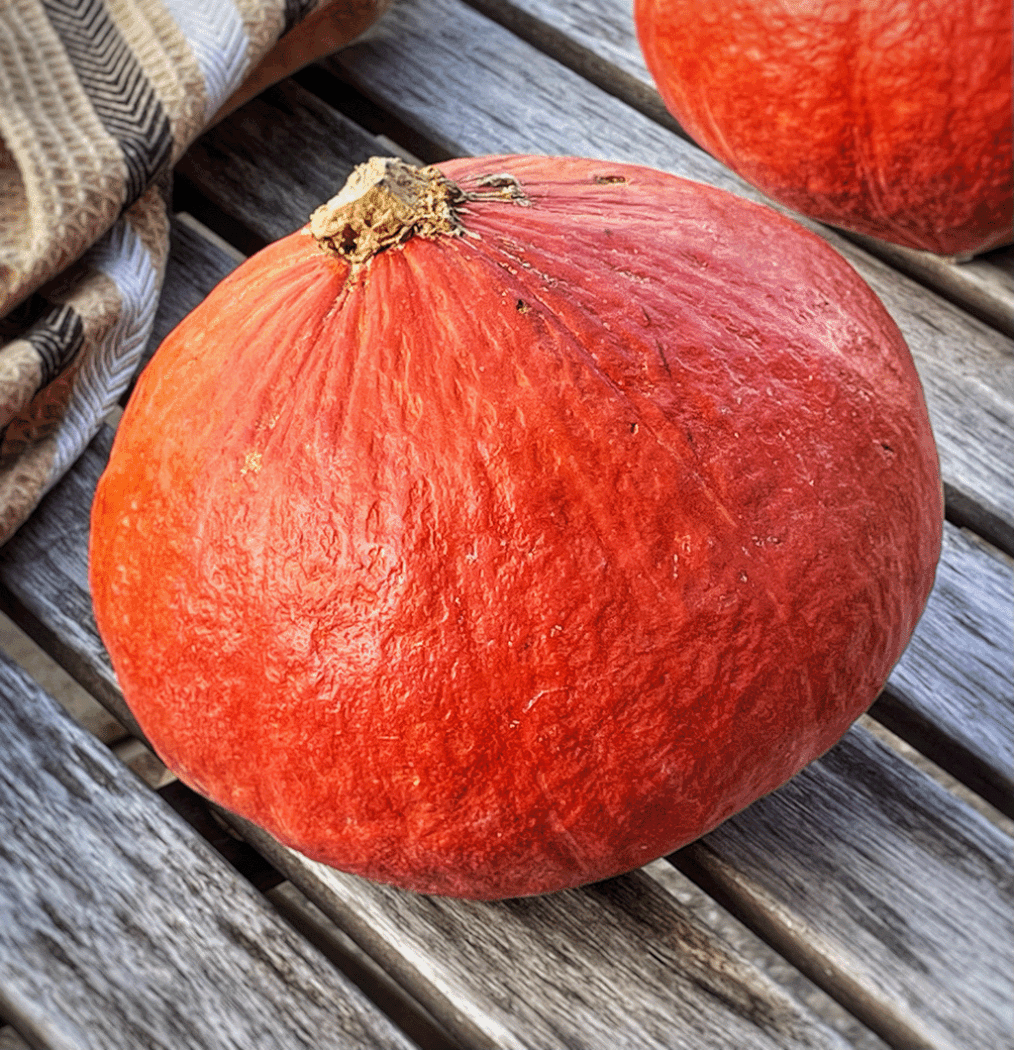 red kuri squash