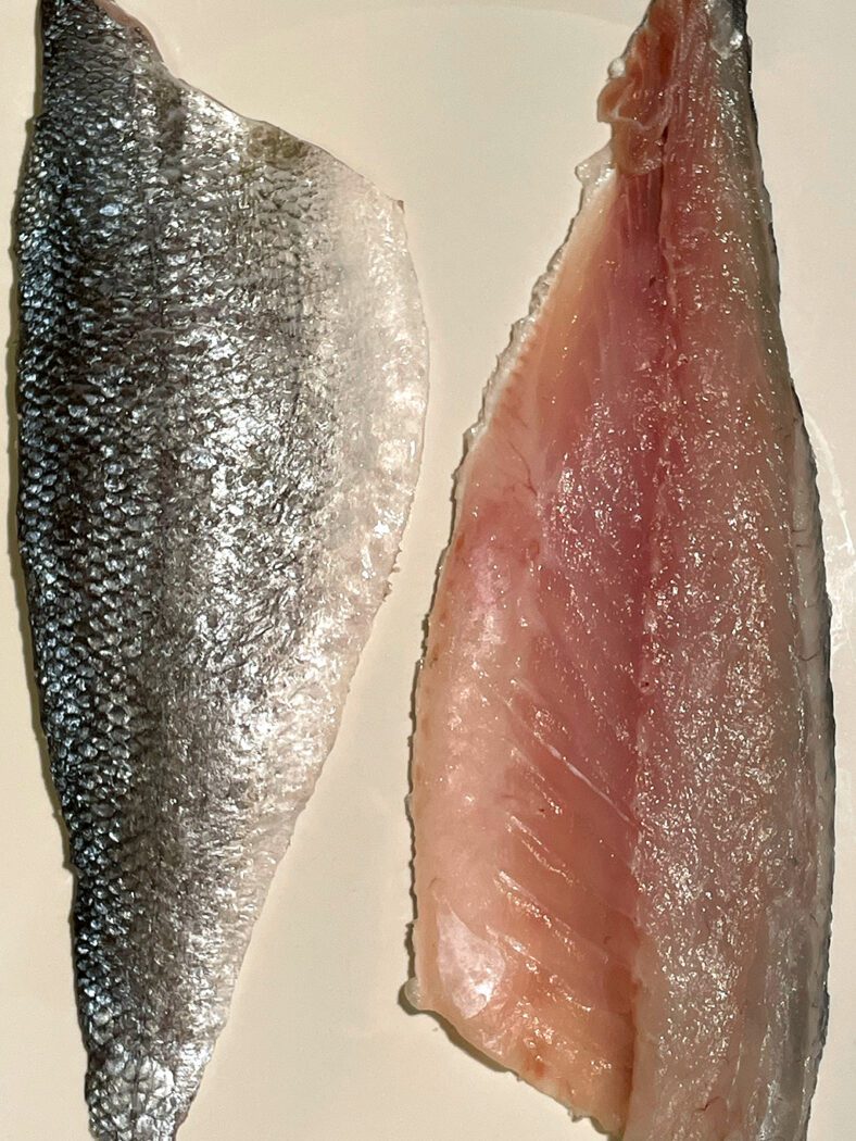 sea bass filets raw
