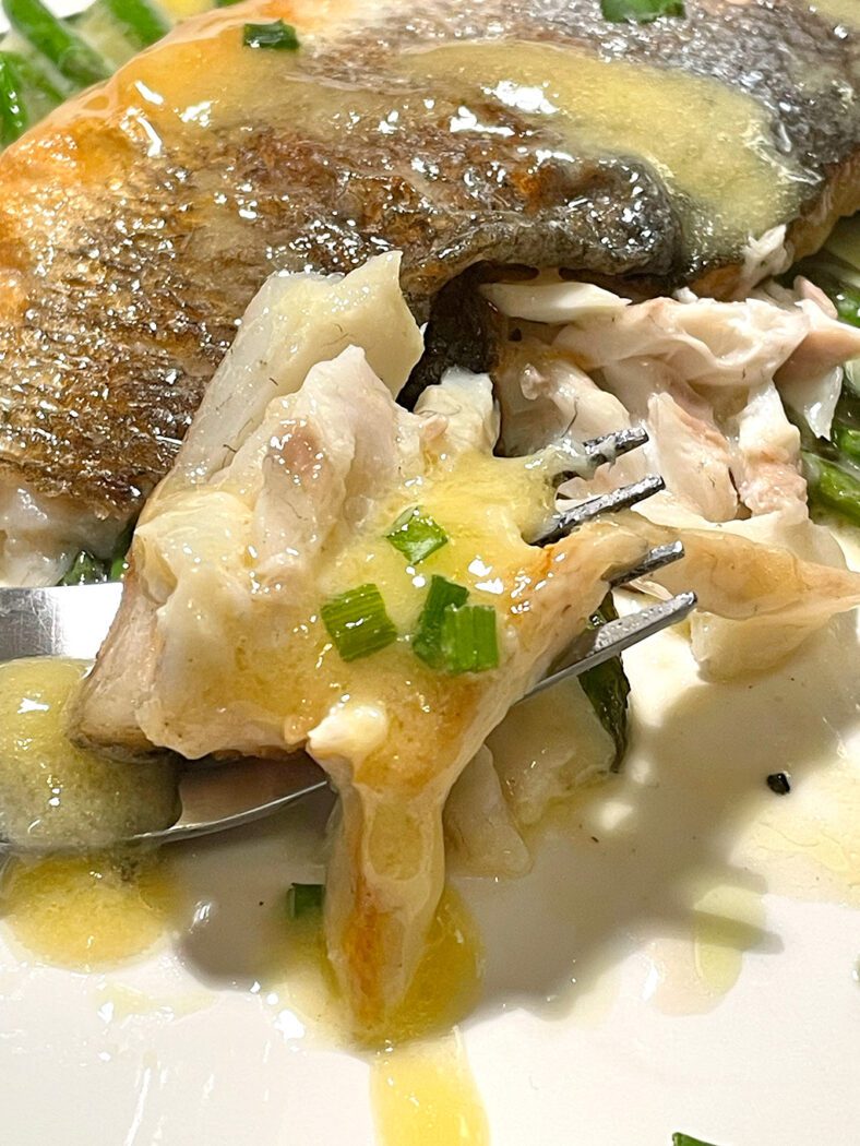 closeup of fish on fork
